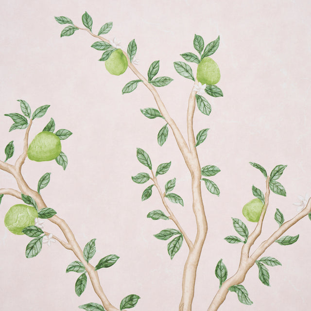 Citrus Blossom 2 Panel Set Blush Botanical Mural Wallpaper – Schumacher 5017161