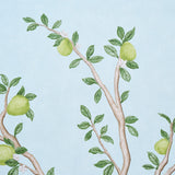 Citrus Blossom 2 Panel Set Sky by Schumacher Botanical Garden Wallpaper – Schumacher 5017162