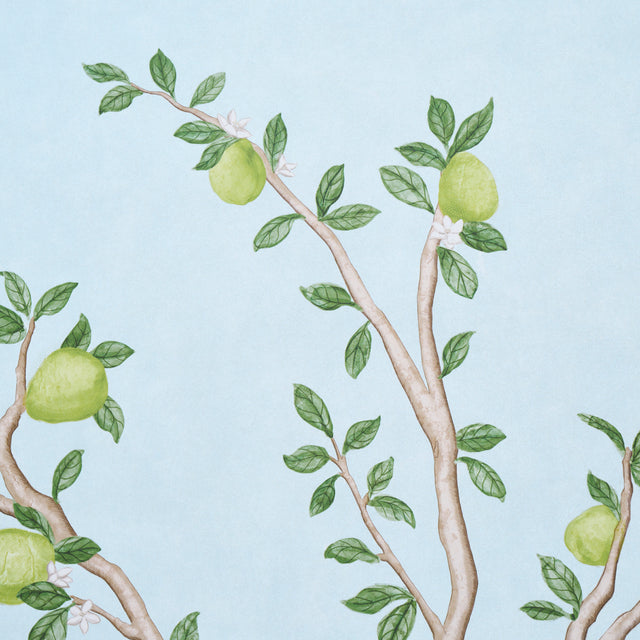Citrus Blossom 2 Panel Set Sky by Schumacher Botanical Garden Wallpaper – Schumacher 5017162