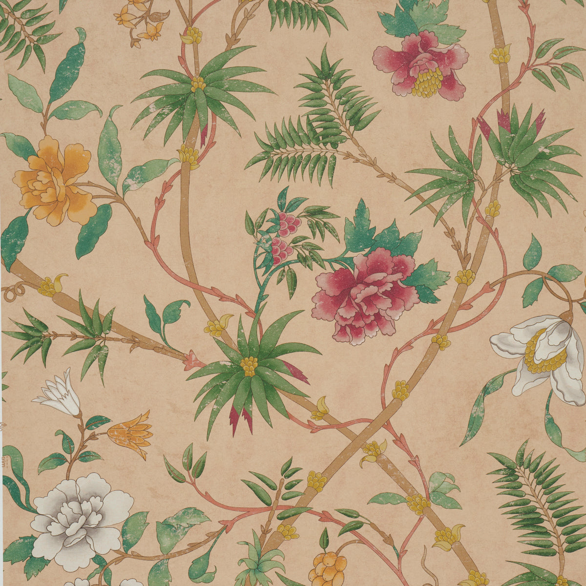 Arasi Botanical wallpaper in coral by Schumacher, featuring large-scale leafy botanicals and exotic spiked flowers on a neutral background.