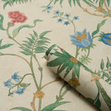 Arasi Botanical Parchment by Schumacher Botanical Garden Wallpaper – Schumacher 5017171
