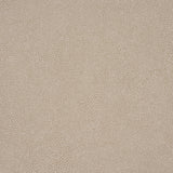 Dunbar Shagreen Vinyl wallpaper in Sandstone, a faux shagreen embossed vinyl wallcovering by Schumacher.