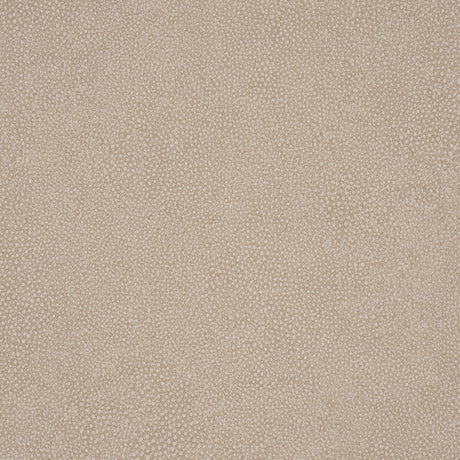 Dunbar Shagreen Vinyl wallpaper in Sandstone, a faux shagreen embossed vinyl wallcovering by Schumacher.