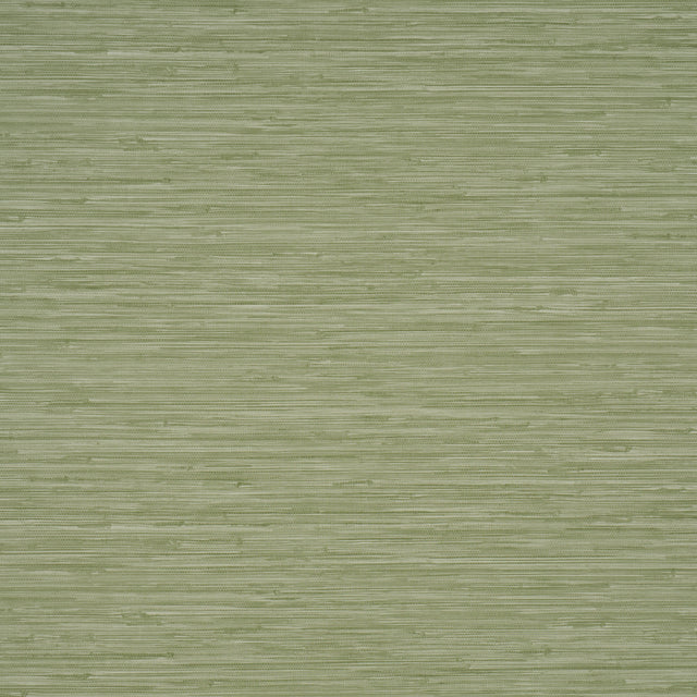 Horizon Grasscloth Vinyl wallpaper in Leaf green, faux grasscloth texture, Schumacher Utility Collection