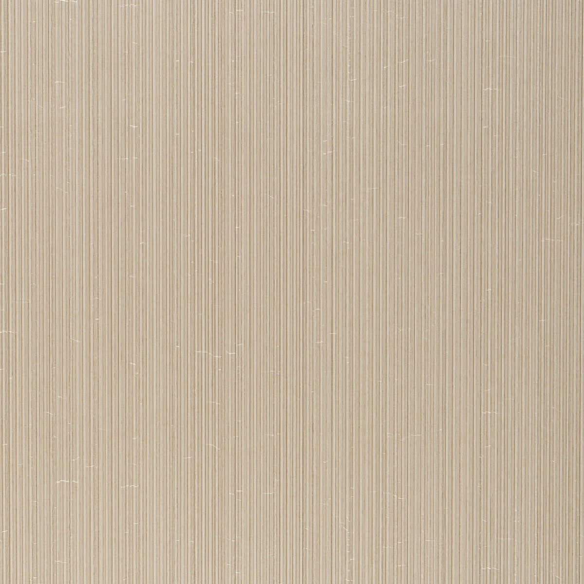 Rimini Rib Vinyl wallcovering in Champagne by Schumacher, featuring a fine tonal stripe with a subtle sheen and pronounced ribbed texture.