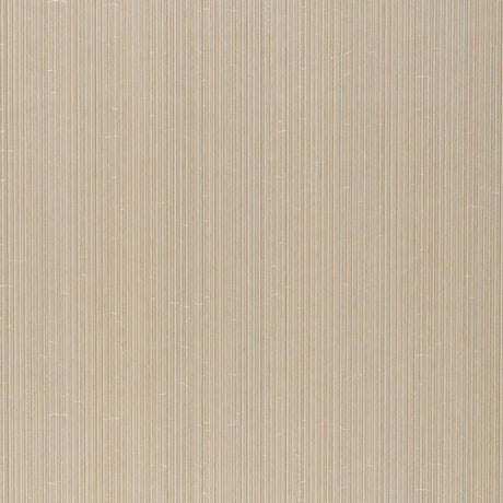 Rimini Rib Vinyl wallcovering in Champagne by Schumacher, featuring a fine tonal stripe with a subtle sheen and pronounced ribbed texture.
