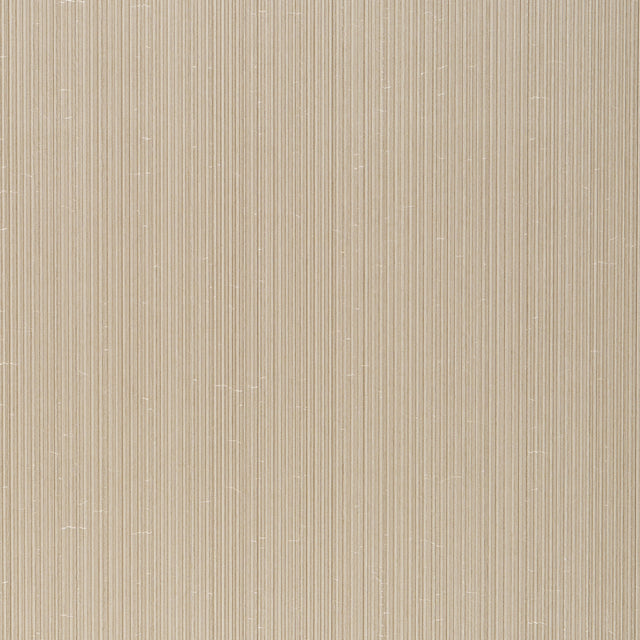 Rimini Rib Vinyl wallcovering in Champagne by Schumacher, featuring a fine tonal stripe with a subtle sheen and pronounced ribbed texture.