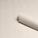 Snakeskin Vinyl Ivory Faux Snakeskin Embossed Wallpaper – Schumacher 5017500