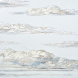 Mr. Darcy's Clouds Sky by Schumacher Scenic Cloud Wallpaper – Johnson Hartig 5017581