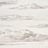 Mr. Darcy's Clouds Grisaille by Johnson Hartig Scenic Cloud Wallpaper – Schumacher 5017582