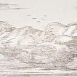 Mr. Darcy's Clouds Grisaille by Johnson Hartig Scenic Cloud Wallpaper – Schumacher 5017582