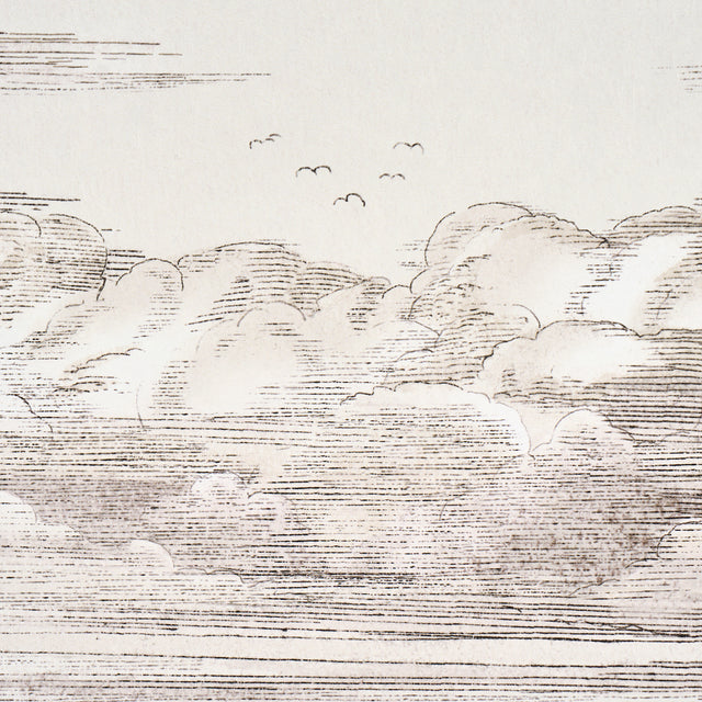 Mr. Darcy's Clouds Grisaille by Johnson Hartig Scenic Cloud Wallpaper – Schumacher 5017582