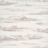 Mr. Darcy's Clouds wallpaper in Grisaille by Johnson Hartig for Schumacher, featuring a scenic cloudscape inspired by 18th-century engravings.