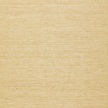 Ningbo Sisal Ivory natural grasscloth wallpaper by Schumacher