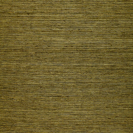 Olive green natural sisal grasscloth wallcovering with a textured, woven appearance.