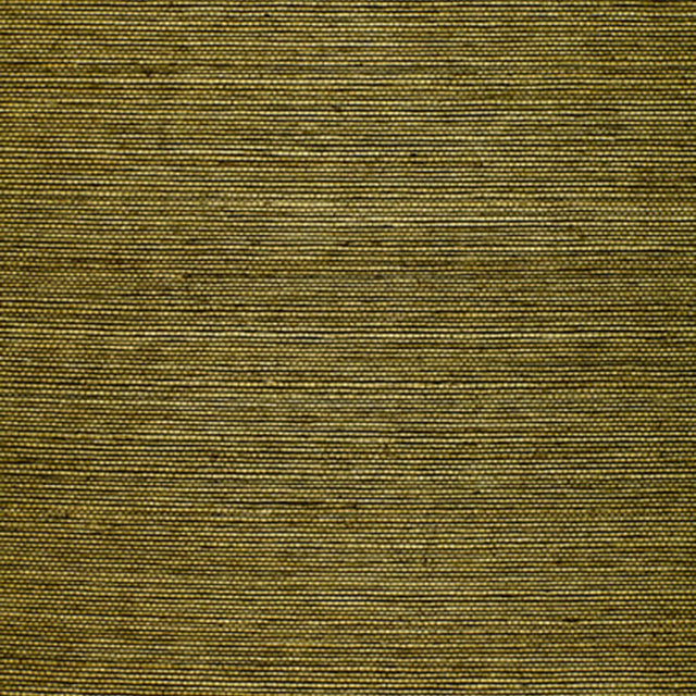 Olive green natural sisal grasscloth wallcovering with a textured, woven appearance.