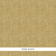 FIDENZA GROUND in Sage, a handcrafted wide-width textured wallcovering by Schumacher, shown in close-up and detail.