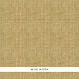 FIDENZA GROUND in Sage, a handcrafted wide-width textured wallcovering by Schumacher, shown in close-up and detail.