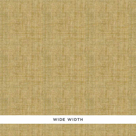 FIDENZA GROUND in Sage, a handcrafted wide-width textured wallcovering by Schumacher, shown in close-up and detail.