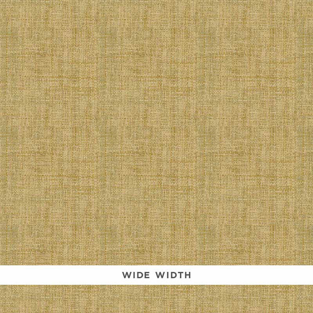 FIDENZA GROUND in Sage, a handcrafted wide-width textured wallcovering by Schumacher, shown in close-up and detail.