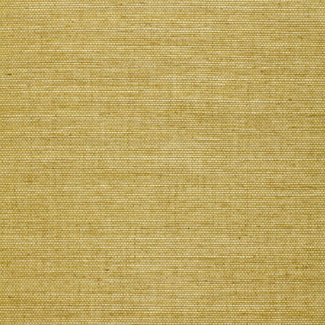 Osan Sisal lime green natural grasscloth wallcovering by Schumacher, shown in a close-up texture and styled in a living room interior.
