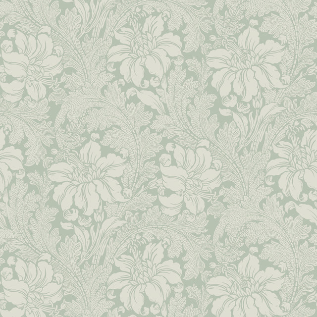 Acanthus Garden wallpaper in sage by Boråstapeter for Schumacher, featuring elegant floral and leaf motifs in a classic, soothing design.