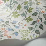 Flora Ivory by Boråstapeter Romantic Wildflower Wallpaper – Schumacher 5475