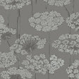 Ingrid grey wallpaper by Boråstapeter for Schumacher, featuring delicate Queen Anne's lace floral pattern.
