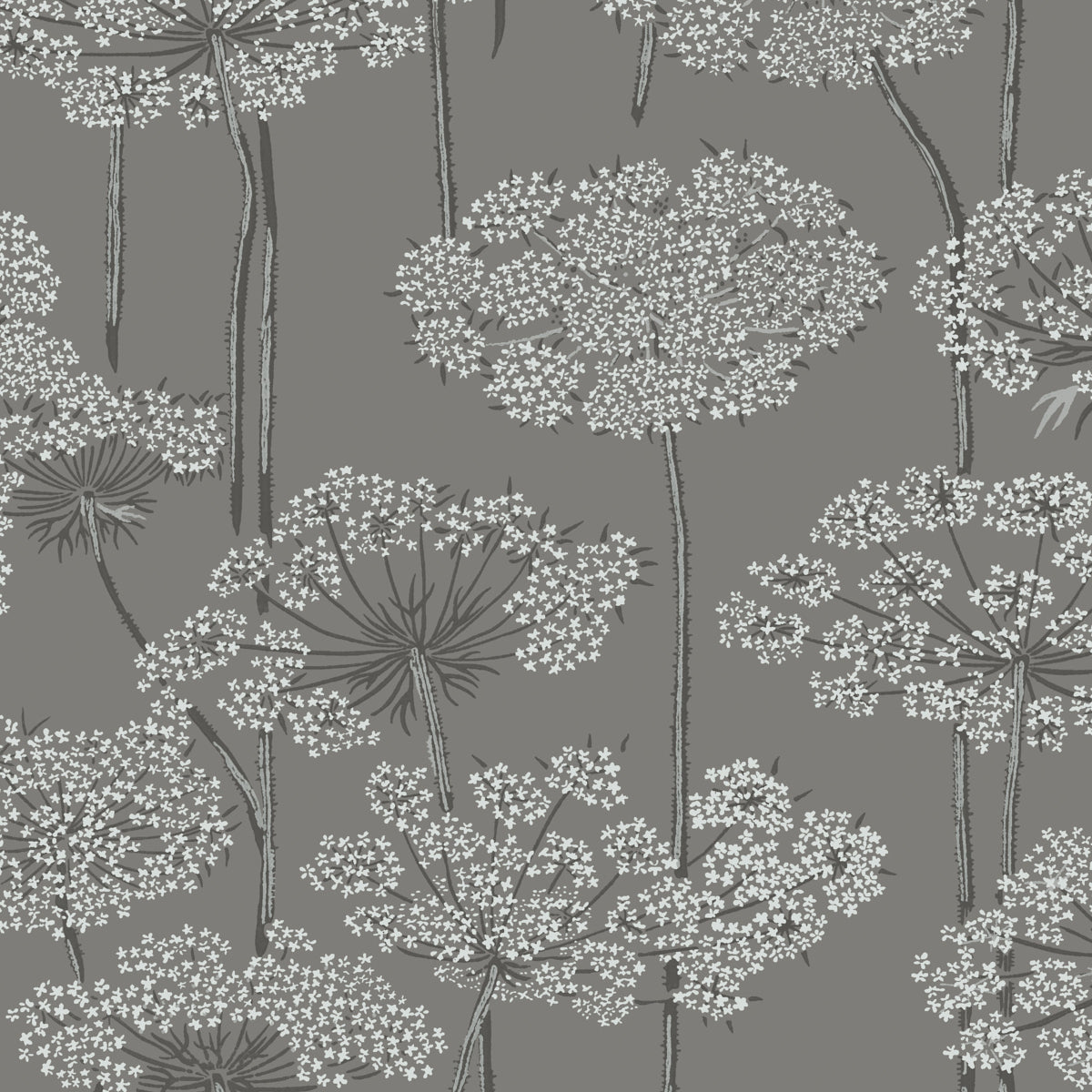 Ingrid grey wallpaper by Boråstapeter for Schumacher, featuring delicate Queen Anne's lace floral pattern.