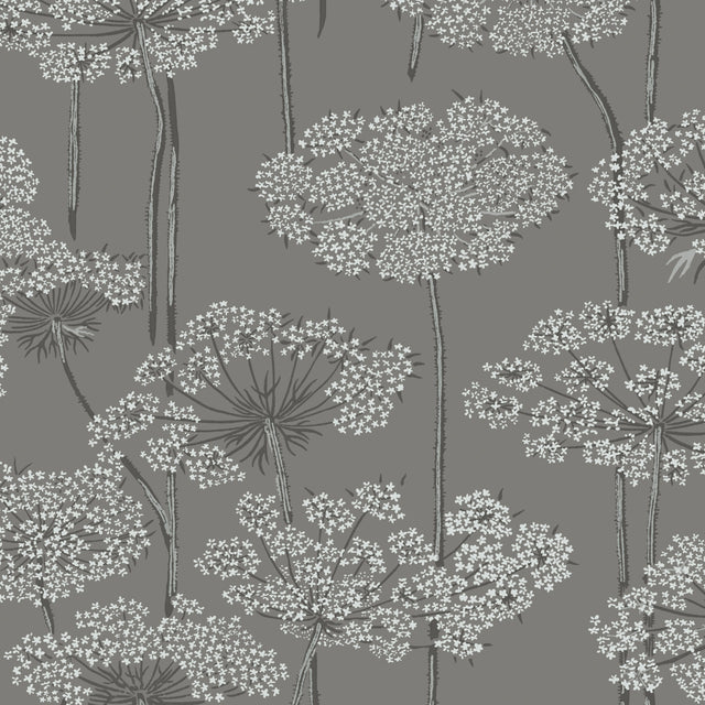 Ingrid grey wallpaper by Boråstapeter for Schumacher, featuring delicate Queen Anne's lace floral pattern.