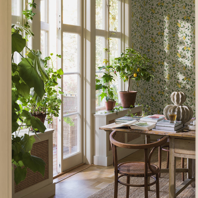 Citronträd Ivory and Leaf by Boråstapeter Botanical Lemon Tree Wallpaper – Schumacher 5702