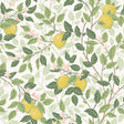 Citronträd wallpaper by Boråstapeter for Schumacher, featuring hand-painted lemon trees and butterflies in ivory and leaf green.