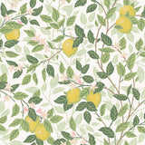 Citronträd wallpaper by Boråstapeter for Schumacher, featuring hand-painted lemon trees and butterflies in ivory and leaf green.