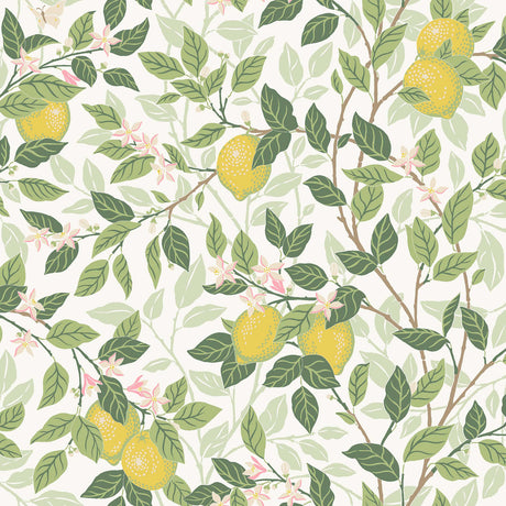 Citronträd wallpaper by Boråstapeter for Schumacher, featuring hand-painted lemon trees and butterflies in ivory and leaf green.