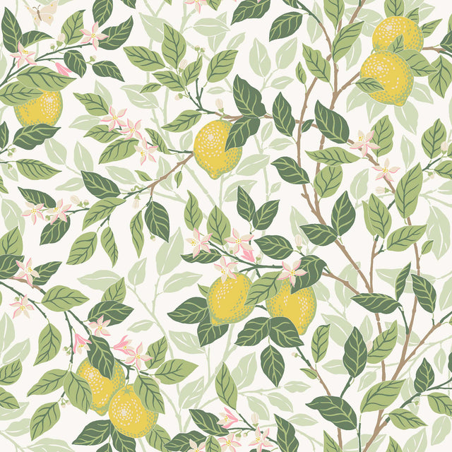Citronträd wallpaper by Boråstapeter for Schumacher, featuring hand-painted lemon trees and butterflies in ivory and leaf green.