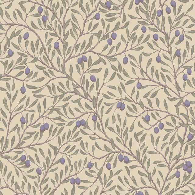 Olive branch botanical wallpaper in leaf and natural colors with purple olives, Mediterranean-inspired design by Boråstapeter for Schumacher.