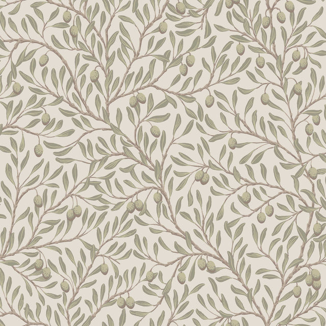 Olive branch botanical wallpaper in leaf green and ivory by Boråstapeter for Schumacher, pattern OLIVTRÄD 5705.