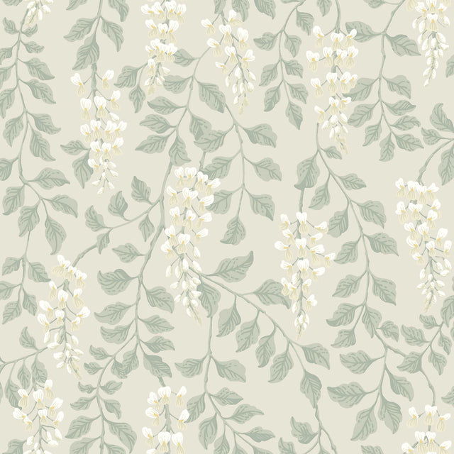 Trailing wisteria blossoms in a leaf green colorway on a contemporary floral wallpaper by Boråstapeter for Schumacher.
