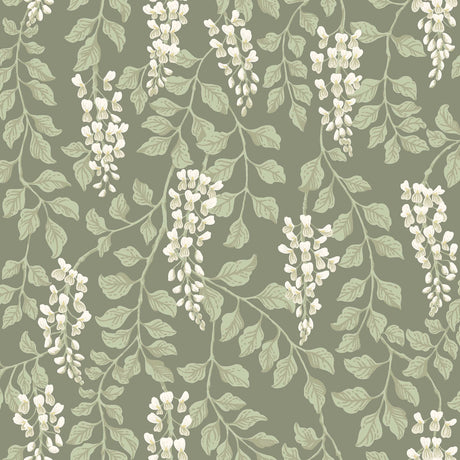 Trailing wisteria floral wallpaper in sage green and white by Boråstapeter, Blåregn pattern, Schumacher 5710