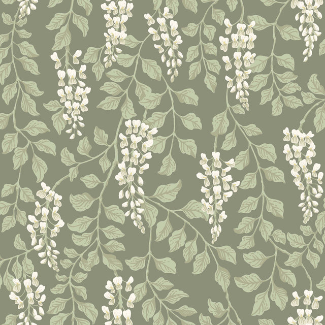 Trailing wisteria floral wallpaper in sage green and white by Boråstapeter, Blåregn pattern, Schumacher 5710