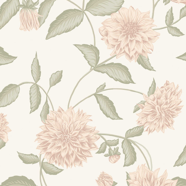 Blush dahlia floral wallpaper with trailing leaves by Boråstapeter for Schumacher, styled in a contemporary room.
