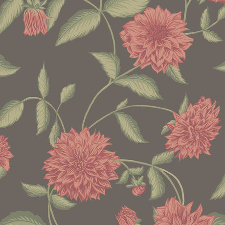 Dahliadröm wallpaper by Boråstapeter for Schumacher featuring large-scale fuchsia dahlia blossoms and trailing leaves on a dark background.