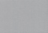 Gesso Weave Silver Wallpaper