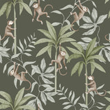 Jungle Friends wallpaper by Boråstapeter for Schumacher, featuring playful monkeys and tropical foliage in pewter green.