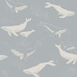 Slate blue wallpaper featuring playful white whales swimming among schools of fish, designed by Boråstapeter for Schumacher.