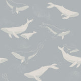 Slate blue wallpaper featuring playful white whales swimming among schools of fish, designed by Boråstapeter for Schumacher.