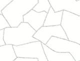 York Wallcoverings Suite Style Dolphin Wallpaper MT5621