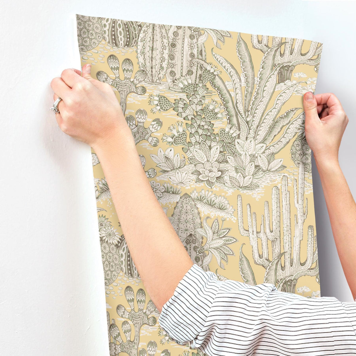 Lotus Land Cacti Sunshine by York Wallcoverings Novelty Wallpaper – York Wallcoverings MT5635
