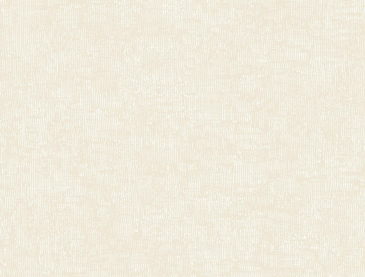 York Trabadillo Plaster Beach wallpaper roll and pattern detail in beige