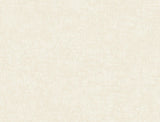 York Trabadillo Plaster Beach wallpaper roll and pattern detail in beige